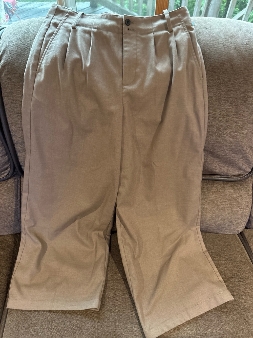 Madewell The Harlow Wide Leg Pants Pleated High Waisted Pant Size 6P Tan Brown